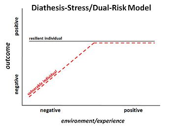 Diathesisstressdualriskmodel
